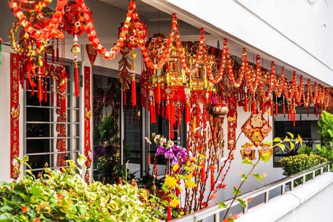 国家公园局发布高清美图!坡岛的春天终于来了!新加坡版樱花你见过没