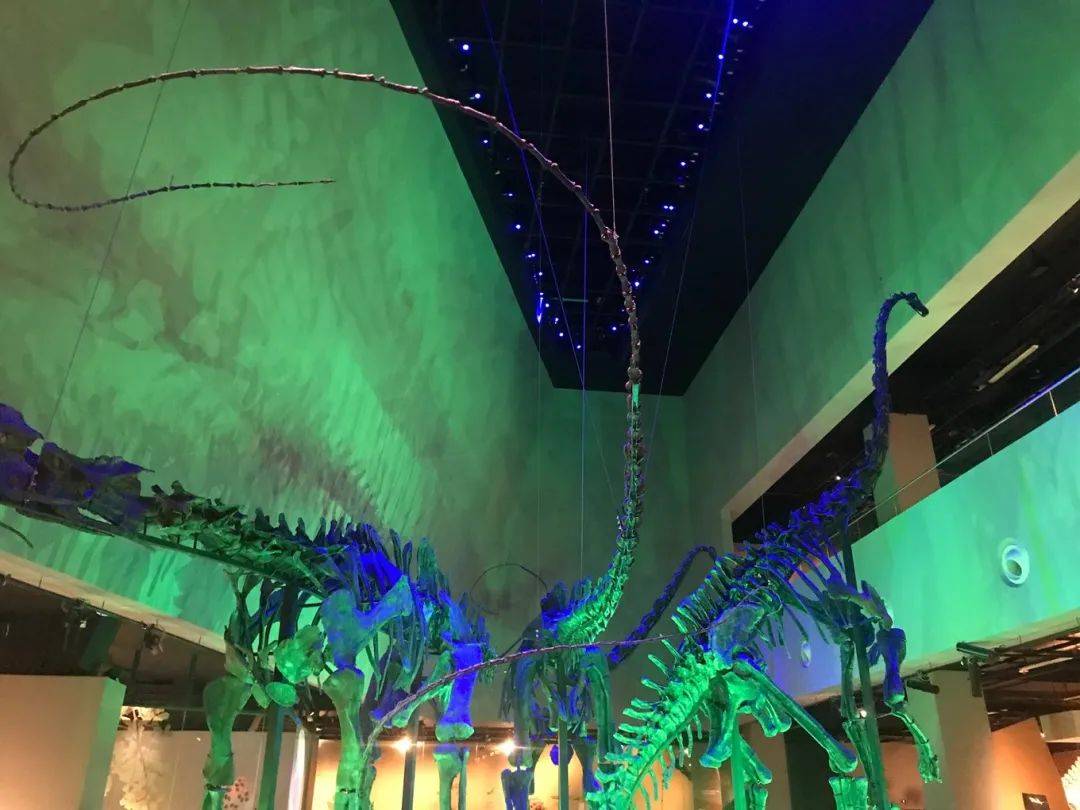 遊獅城 玩轉新加坡趣味博物館