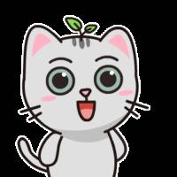 不同年龄段申请入读新加坡学校,难点、要点在这里了