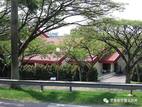 生育率僅1.1創新低、人口危機下的新加坡,要對這些外國人放開PR政策