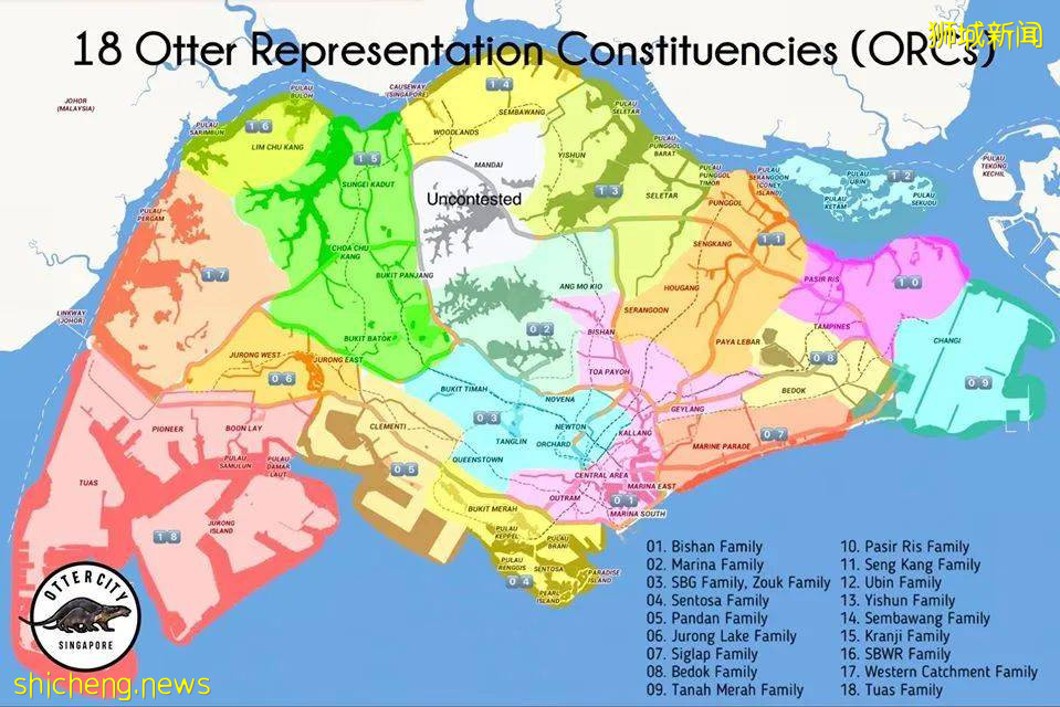 國大校園驚現水獺家族！背後竟有一段浪漫愛情故事