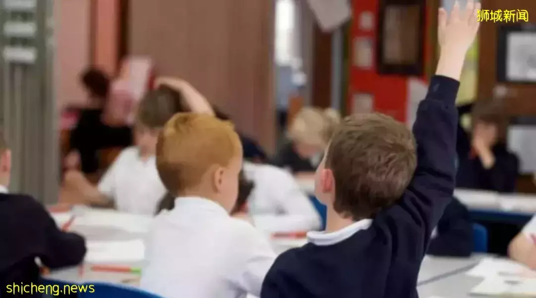 這篇文章，讓小學階段留學新加坡的學生，再也不用爲擇校而煩惱