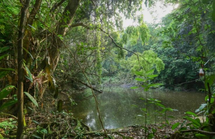 “我的社區”徒步旅行即將重新開啓,讓我們一起再次出發