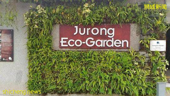 新加坡人少景美的5個遛娃公園,第一個就心動了