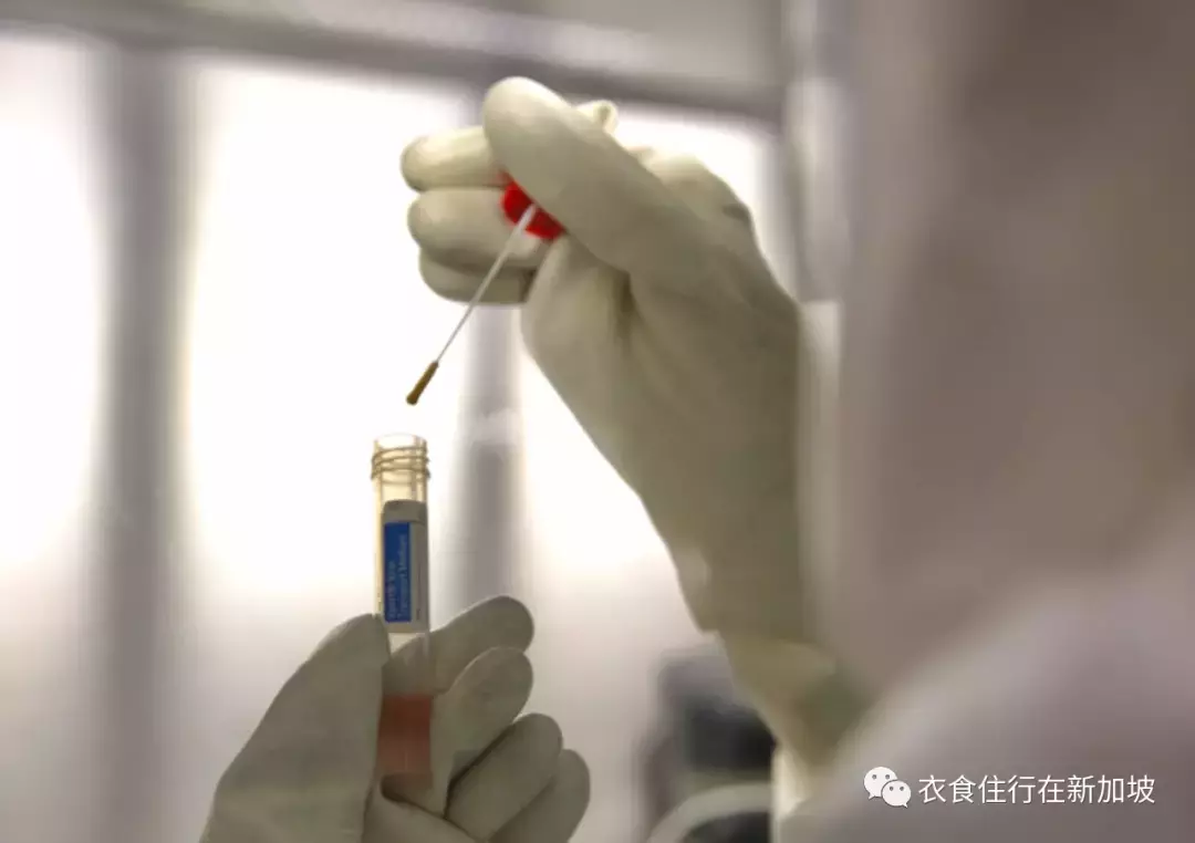 害虫控制技术员在拒绝 拭子测试以避免进入 MC 后被判入狱 5 周