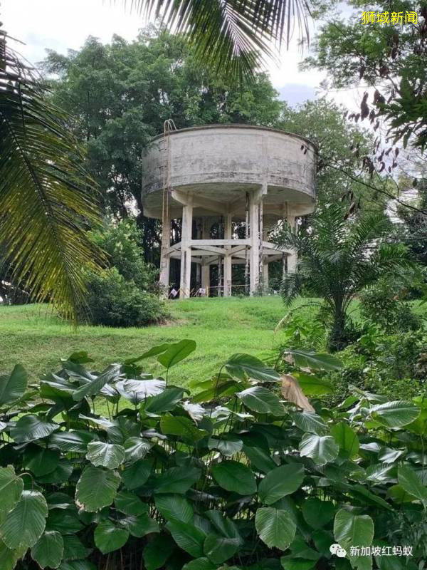 重新发现新加坡 东陵福有你未曾注意过的精彩