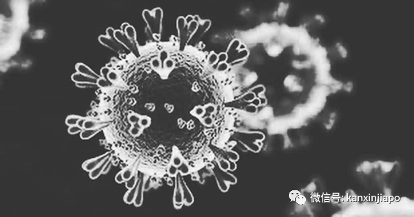 再度封城！出现首宗B.1.1.7病例，马国进入紧急状态至8月1日