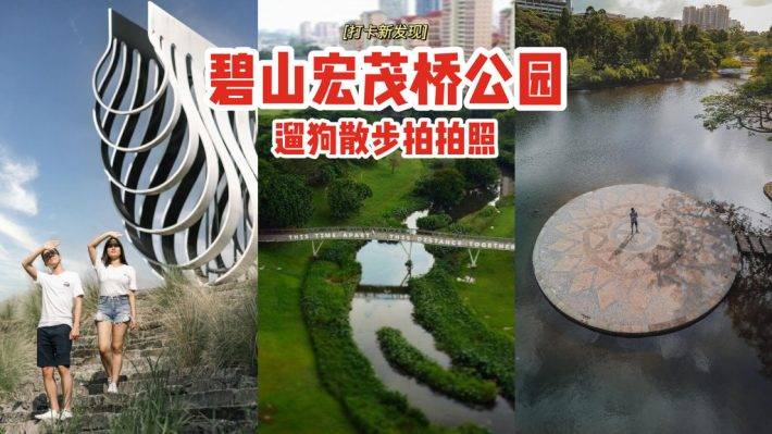 打卡新发现👉碧山宏茂桥公园📍自然景观+莲花池塘+湖畔舞台，遛狗散步不忘拍拍照💕
