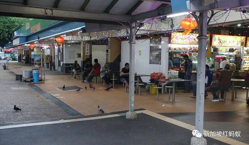 新加坡的鸟患和野猪野猴之患,究竟是谁侵犯了谁的地盘