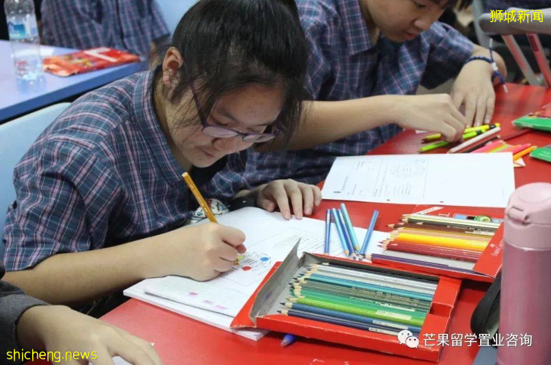 了解新加坡公立/私立/國際學校、理工/藝術/教育模式