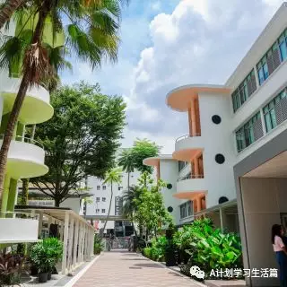 新加坡管理大学设首个综合学科学院 ,学生可灵活设计主修科目