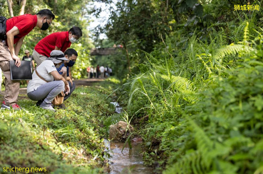 揭秘新加坡最新最热网红打卡地