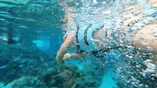 还有多久可以旅行?先来复习一下新加坡