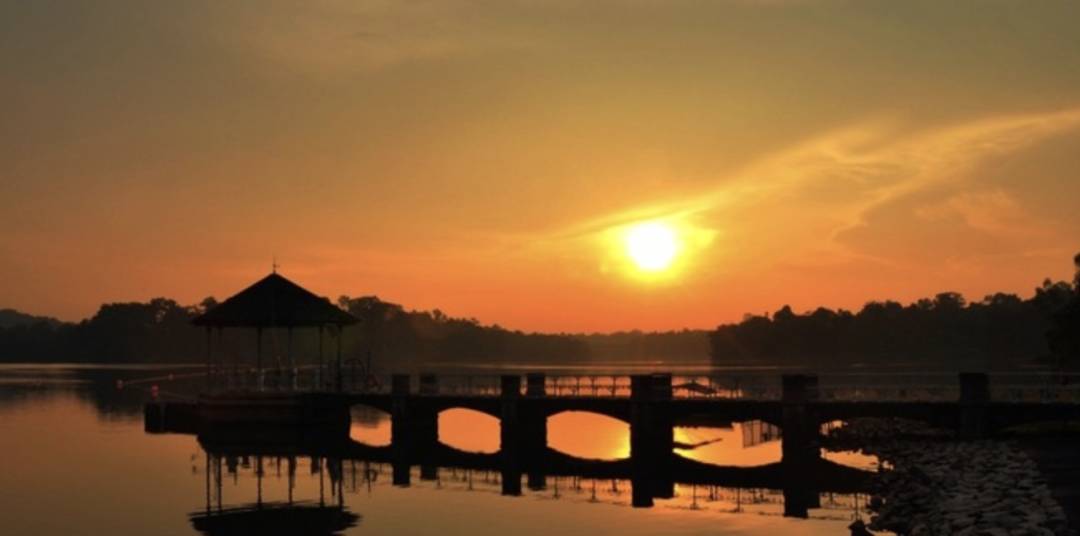 新加坡最美10个蓄水池公园,人少、闺蜜野餐遛娃拍照