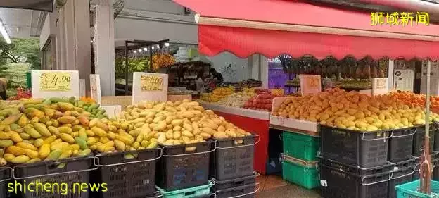 水果季到了 ，榴梿上市，新加坡各中心街道水果店並驅爭先、如火如荼