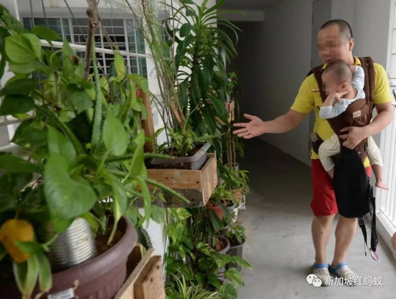 好心当成驴肝肺?中国新移民盆栽堵满楼道称净化空气　遭邻居请愿投诉