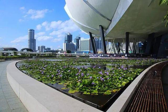 以人为本，新加坡让行走更安全