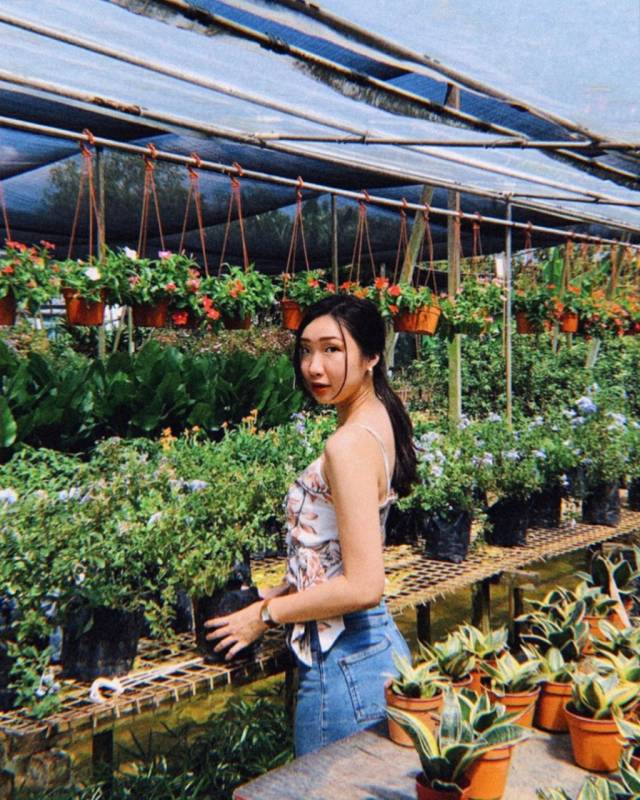 World Farm新加坡超大苗圃花市!绿植、盆栽、花卉都在这🌹 约会遛弯新去处