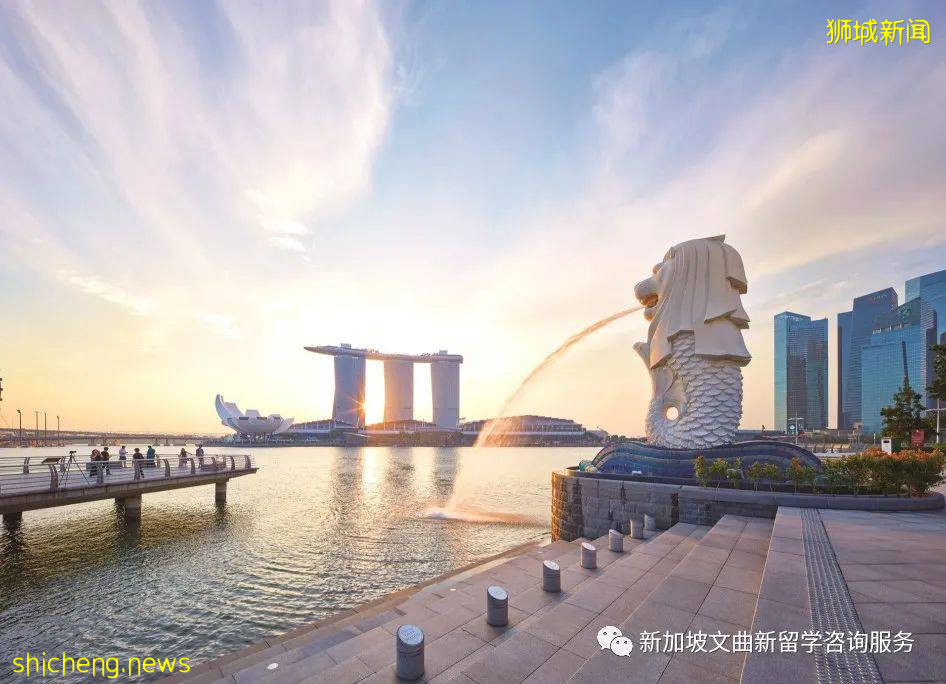 新加坡留學福利政策大盤點!速速來get