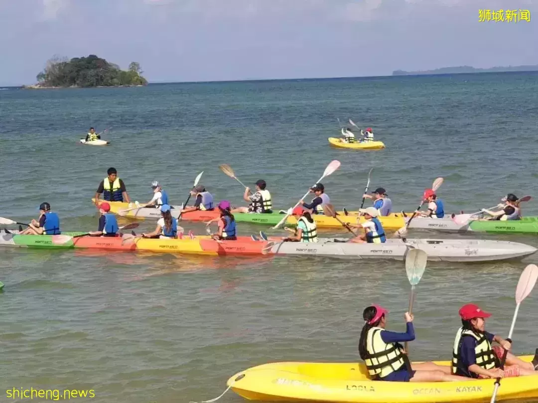 看起來每天都在玩，新加坡國際學校的娃們是怎麽學習的