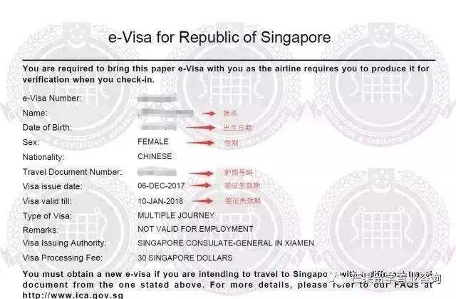 新加坡都有哪些准证