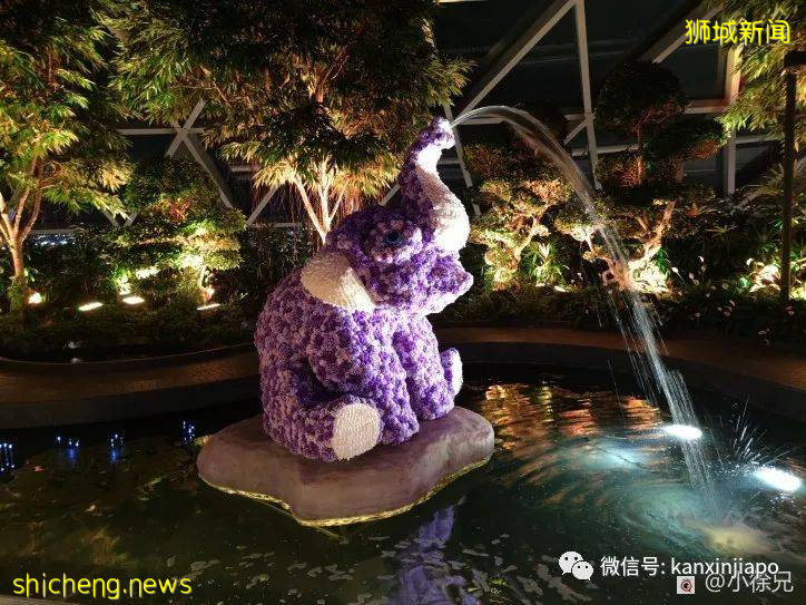 趣探樟宜奇妙之旅,吃喝玩乐一整天