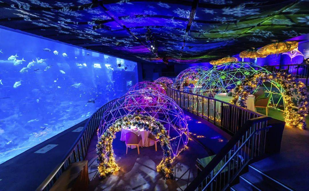 【周末去哪玩】聖誕仙境，植物園世界之樹，聖淘沙海灘HelloKitty，閃耀星光燈光秀，等等等等