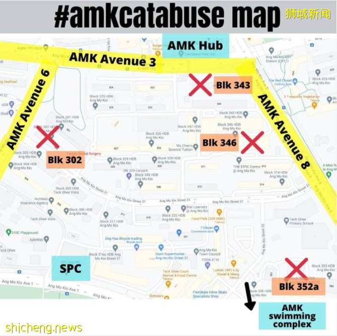 太殘忍了！新加坡宏茂橋虐貓狂再次揮刀砍貓