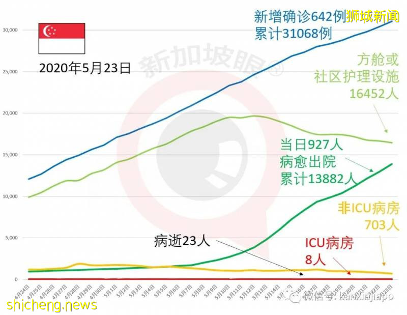 今增548，累计31616|新加坡恢复工作准证申请，6月有望进行新冠疫苗临床实验