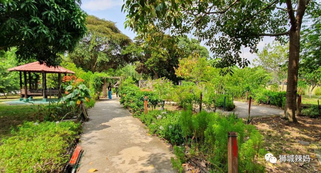 新加坡最好玩的海灘公園!趕海、騎馬、劃艇、樹籬迷宮、燒烤露營,超適合家庭出遊
