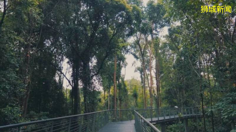 新加坡15個徒步遛娃好去處,我賭肯定有你不知道的