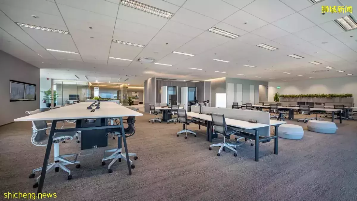 灵活办公室公用空间  配合混合办公模式