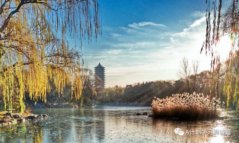 THE2021世界大學學科排名:商和經濟學