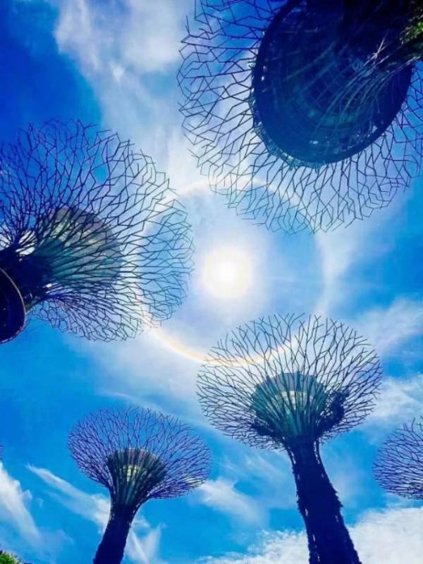 公园夜跑被绊倒,新加坡政府处理流程全记实