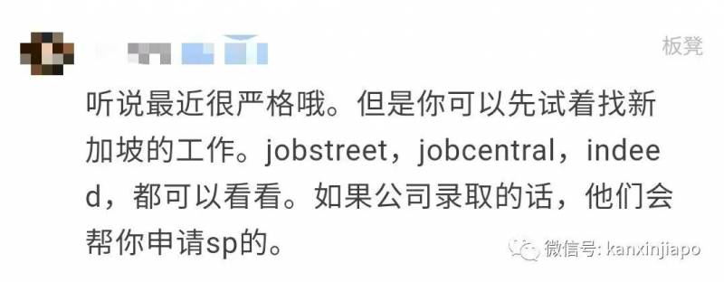 现在SP申请太严格了，到底怎么在新加坡找工作