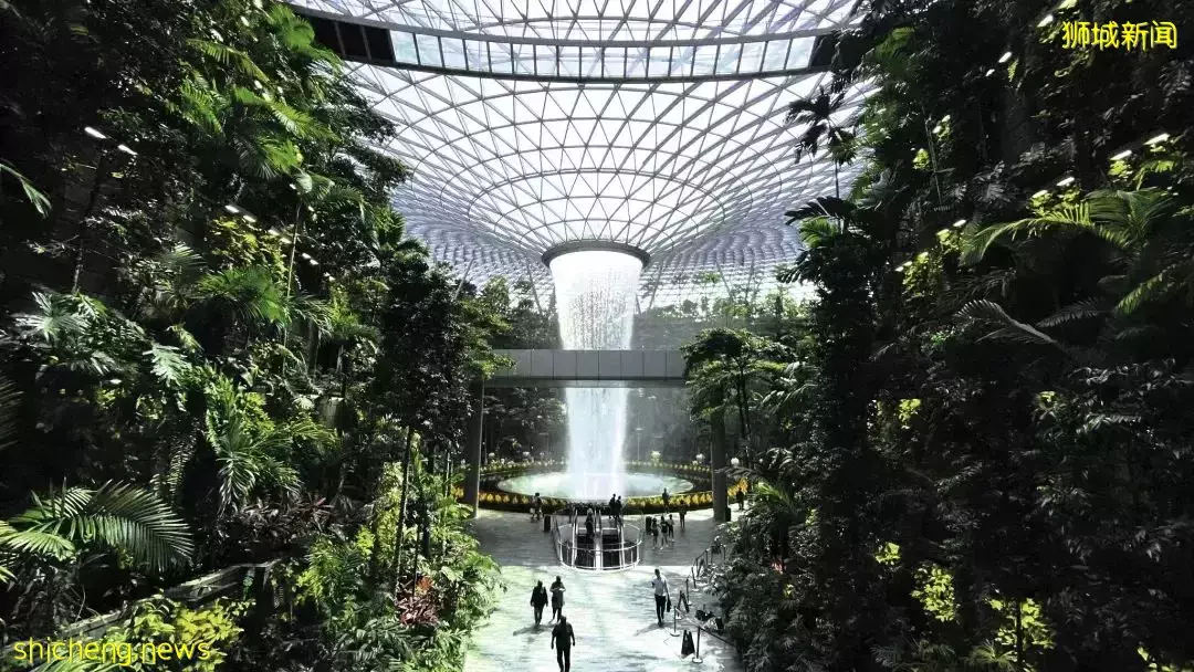 李艳梅：将新加坡“输出”海外