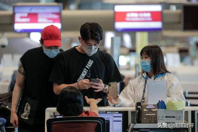 唐晓岚:论为什么在新加坡一定要拍死蟑螂