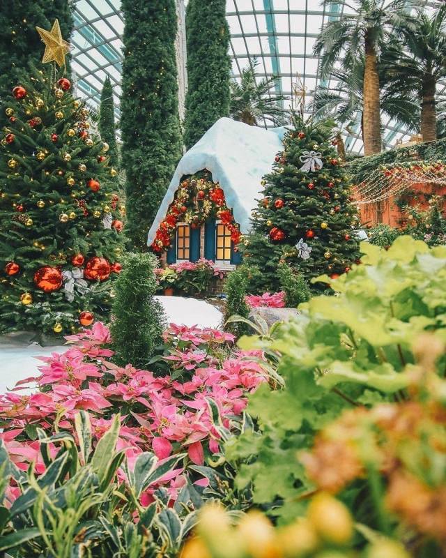 奇妙約會！新加坡聖誕老人見面地點🎅 溫暖治愈的節日，大聲說出你的願望