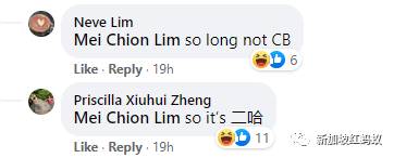 新加坡總理和民衆同歡慶：“新加坡制造”熊貓寶寶誕生了