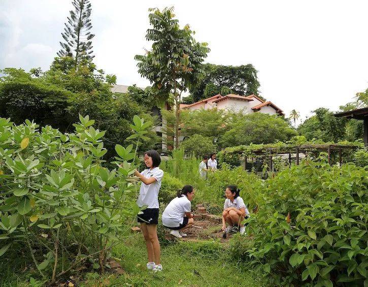 【周末去哪】218米觀景台免費,$12皮劃艇,5折耐克,母嬰特賣