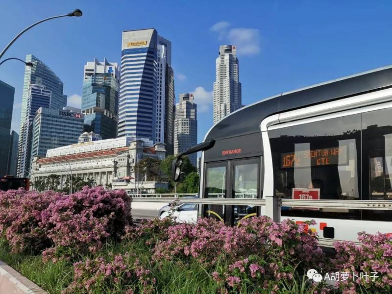 旅行记忆 美丽的新加坡