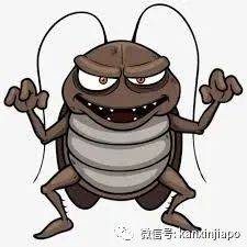 在新加坡住衣櫥要怎麽選