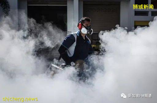 警惕! 新加坡登革热本月增4起死亡病例,病例总数超过1万3千起