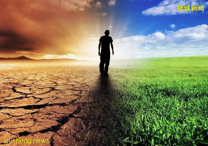 新加坡国大学子神秘坠楼身亡！几年前，也有人从家中跳下