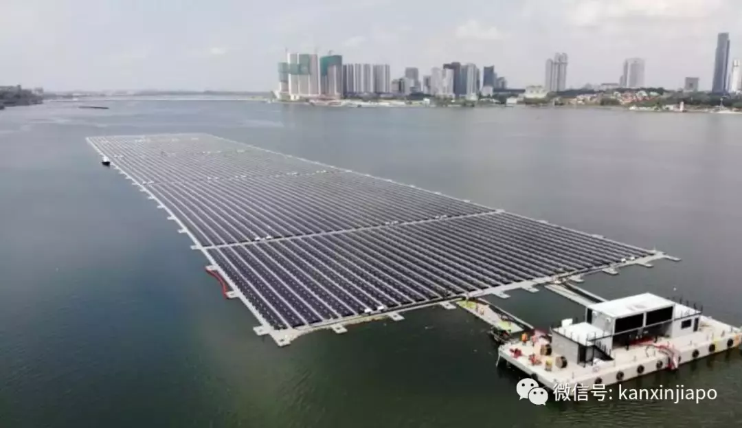 “一个月电费涨了3倍要4万新币,是逼我们关门吗?”揭秘新加坡电力市场