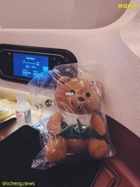 “最近!我從新加坡飛德國、法國免隔離度假,猜猜花了多少錢~”