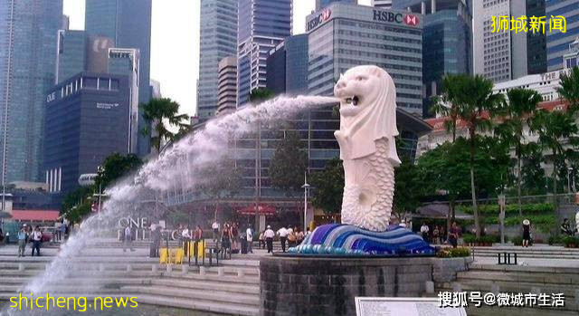 去过新加坡之后，发现新加坡有几个非常鲜明的特点