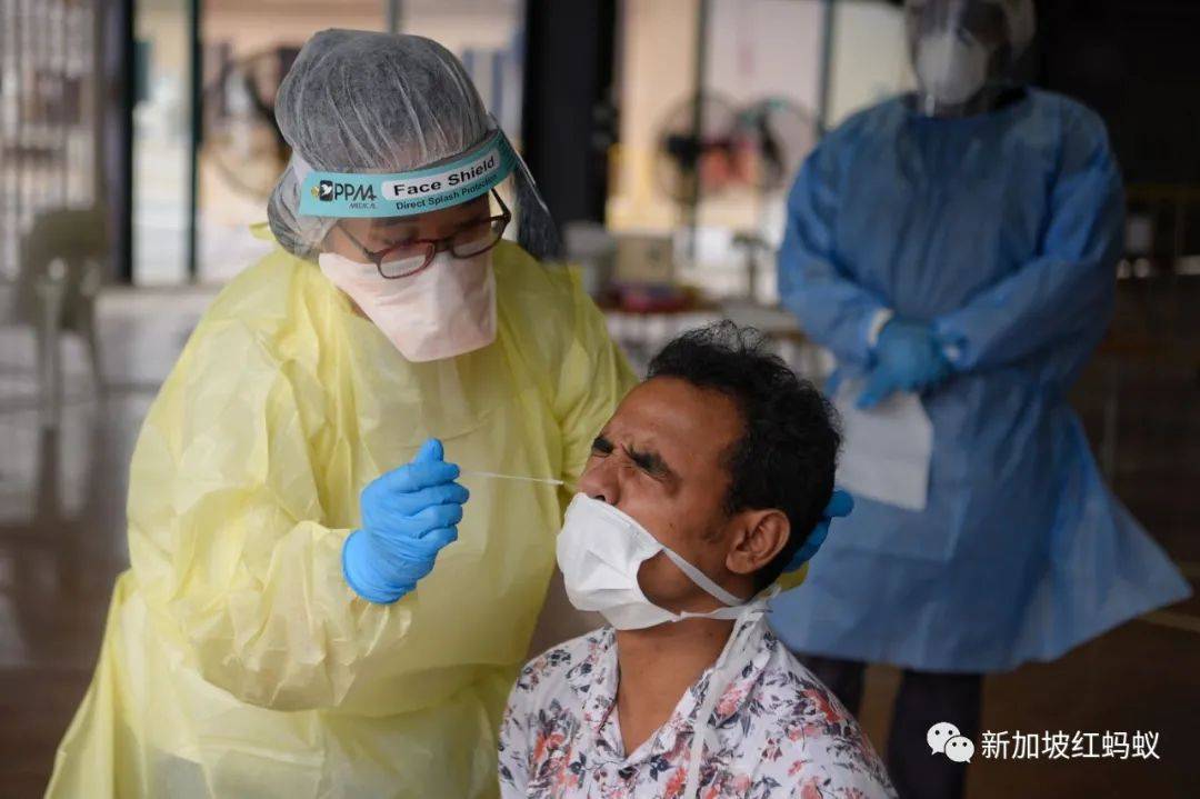 别自己吓自己! 康复的新加坡客工“呈阳”不一定都是二度感染冠病