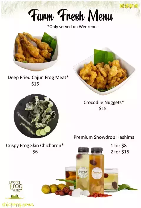 下水抓蛙、摘菜摸鱼、开土摩托……我带娃体验了一把新加坡的农家乐