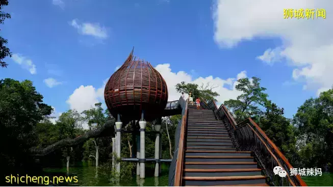 下水抓蛙、摘菜摸鱼、开土摩托……我带娃体验了一把新加坡的农家乐